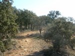 DSCN2066_800x600.jpg