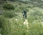 Arrastraculs  10-2-08 019.jpg