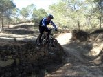 salto x1.jpg