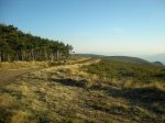 DSCN0482.jpg