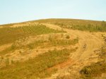 DSCN0492.jpg