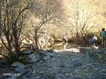 Imag0320.jpg