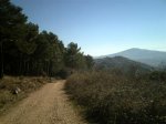 CRIM0048 (Medium).JPG