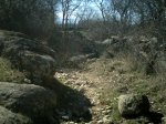 CRIM0051 (Medium).JPG