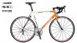 sl01_orange_273d06.jpg