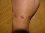 dscf2559.jpg