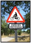 WarningCiclistasProtegidos.jpg