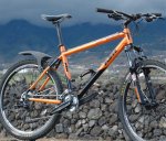 BICI.jpg