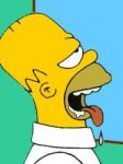 HOMER AAAAAGHGHGHG.JPG