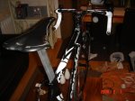 taller y gato 039.jpg