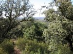 DSCN1492.JPG
