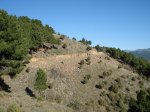 DSC04531_resize.JPG