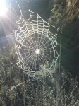 DSC00092.jpg