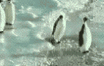 4910fe4478cdaf70930ff1356440470b.gif