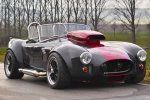weineck-cobra-01.jpg