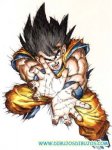 normal_songoku-haciendo-el-kame-kame.jpg