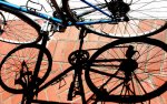 10Bicycle Shadow.jpg