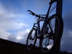 storck foro fondo.JPG