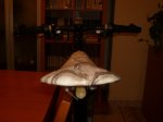 Imagen 005.jpg
