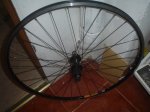 DSC03955.JPG