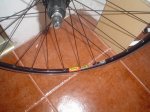 DSC03956.JPG