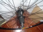 DSC03957.JPG