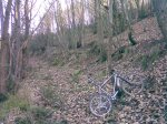 Bosque.jpg