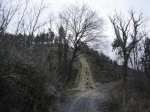 DSC01132.jpg