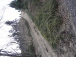 DSC01134.jpg