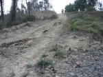 DSC01135.jpg