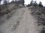 DSC01137.jpg