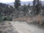 DSC01139.jpg