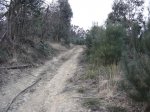 DSC01140.jpg