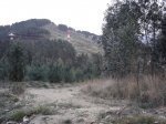 DSC01141.jpg