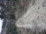 DSC01143.jpg