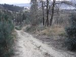DSC01144.jpg