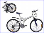bici plegable.jpg