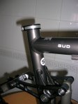 focus bud 2.JPG