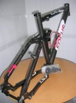 focus bud 3.JPG