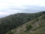 DSC04075x.JPG