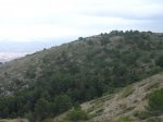DSC04078x.JPG