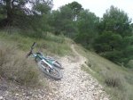 DSC04080x.JPG