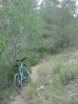 DSC04082x.JPG