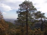 P1010009.jpg
