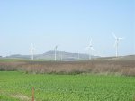 molinos 1.jpg