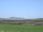molinos 2.jpg
