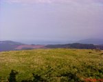DSC00285.JPG