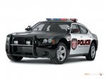 cars--92-.jpg