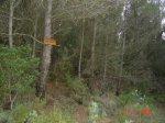 DSC02108.JPG