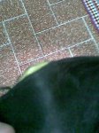 Imagen003.jpg